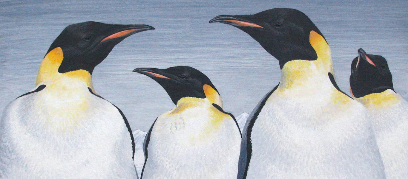 Antarctica cruise slide of Emperor Penguins artwork by Kevin Clement