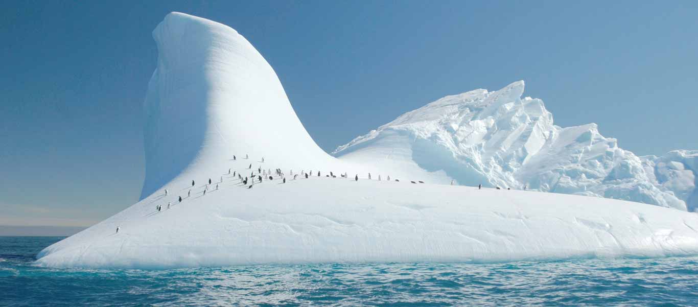 Antarctica cruise slide featuring Chinstrap Penguins on an iceberg