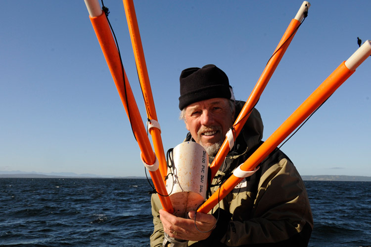 Image showing Peter Harrison with his net gun on a successful expedition to find the Pincoya Storm Petrel