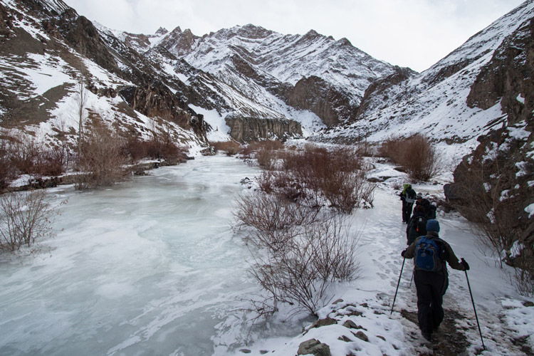 India Snow Leopard Tour photo featuring trekking in Himalayas