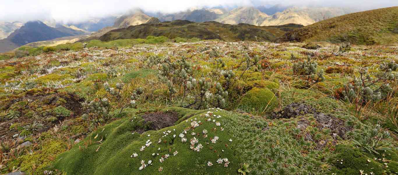 Ecuador tours slide showing landscape of Papallacta