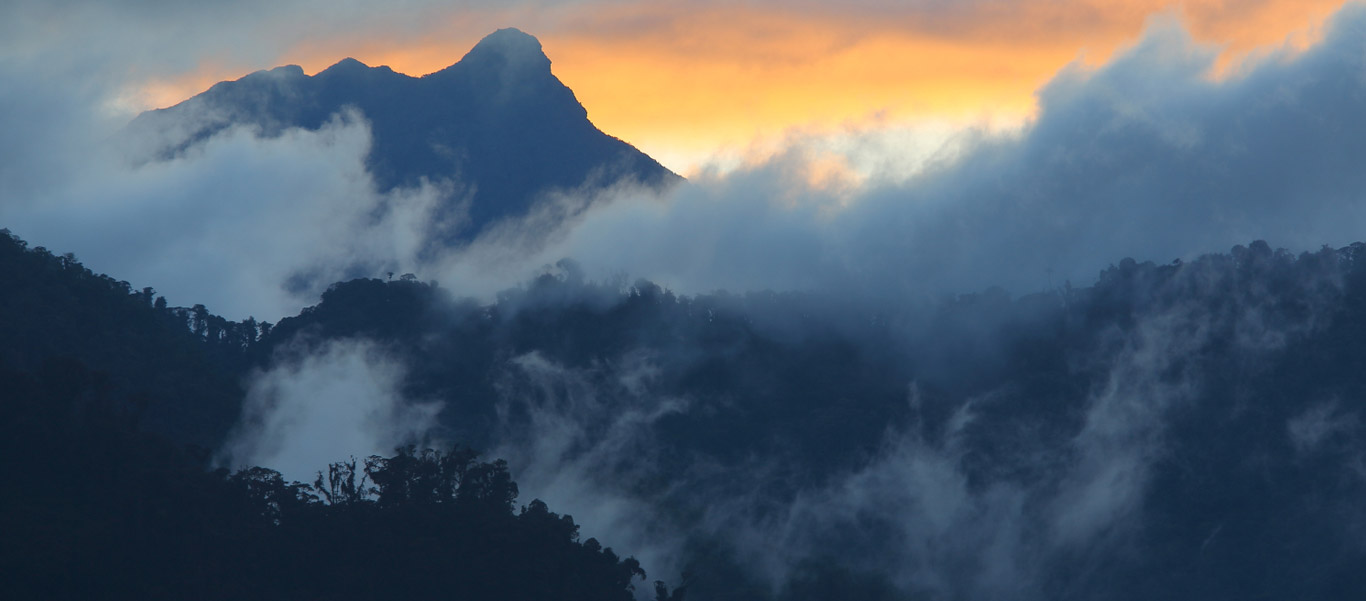 Ecuador travel tour photo of sunset over San Isidro forest