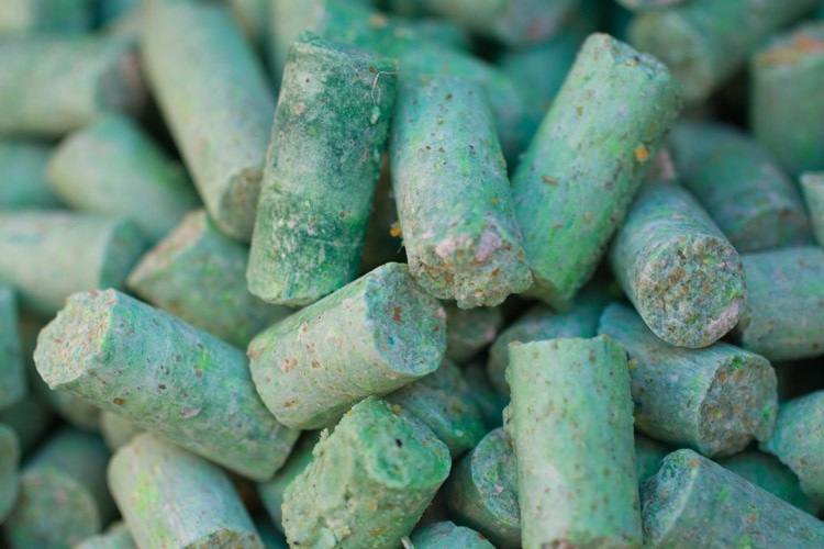 Image of bait pellets for Norwegian Rats on South Georgia Island