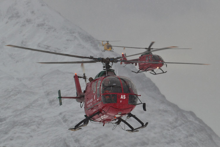 Image of helicopters for South Georgia Restoration Program