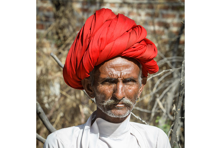 India wildlife safari slide featuring local man