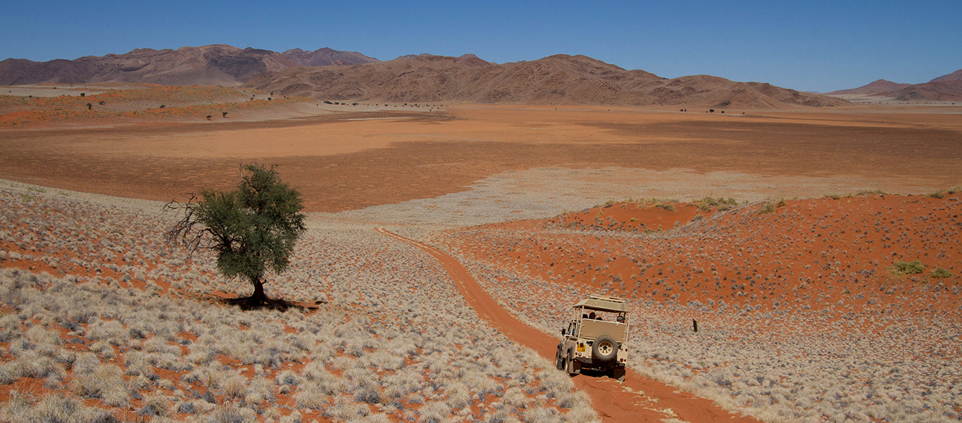 Namibia wildlife safari slide depicts the largest wildlife preserve in southern Africa