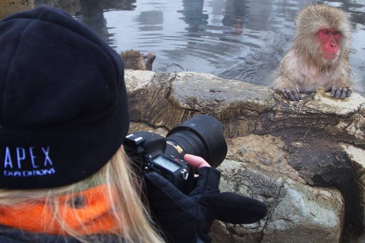Japan wildlife tours image of a snow monkey and Apex Expeditions traveler with camera