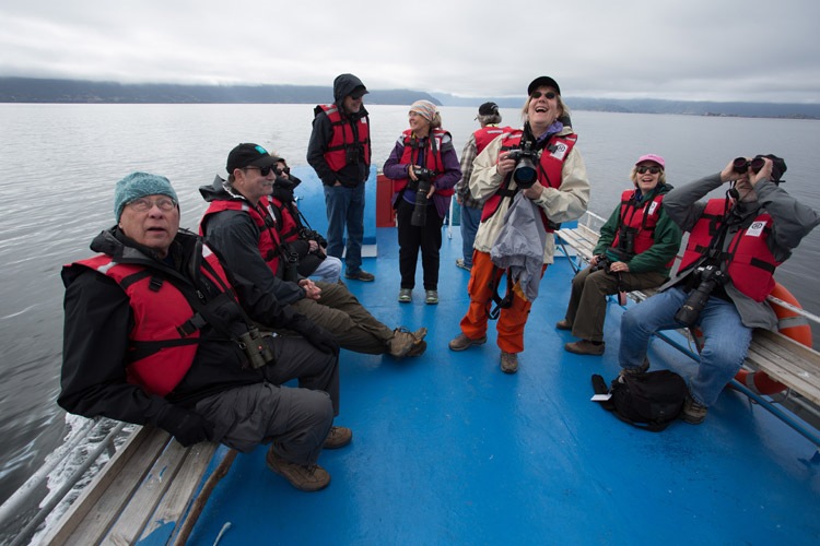 Patagonia adventure tours image of Apex Expeditions guests searching for Pincoya Storm Petrels