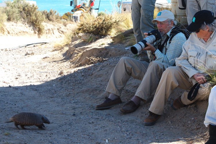 Patagonia wildlife tour photo of Peter Harrison photographing Hairy Armadillo