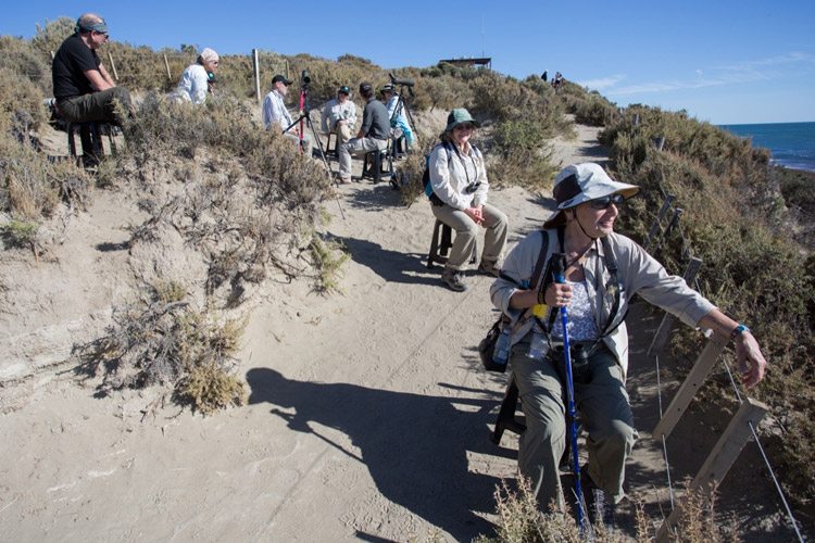 Patagonia wildlife expedition image showing Apex Expeditions travelers at Punta Norte