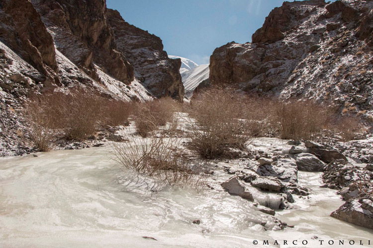 Snow Leopard Tour photo of Himalayas, Ladakh India landscape