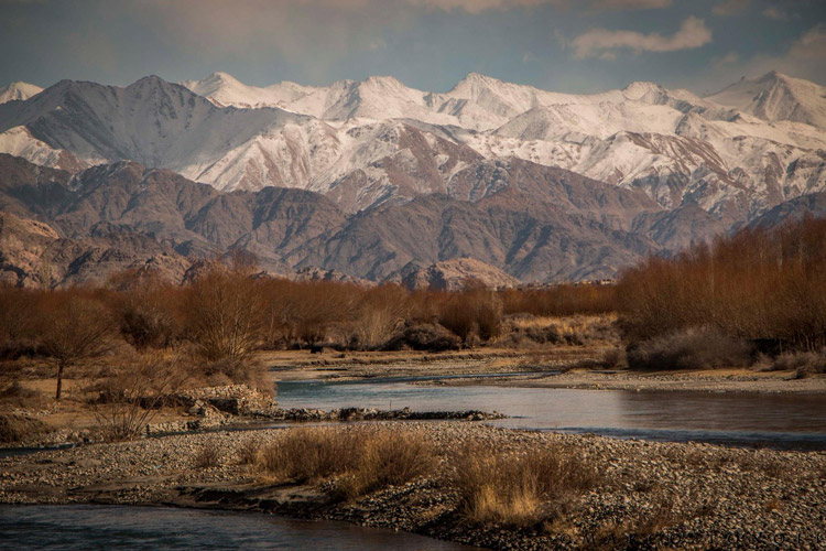 India Snow Leopard Tour photo featuring Himalayas, Ladakh India landscape