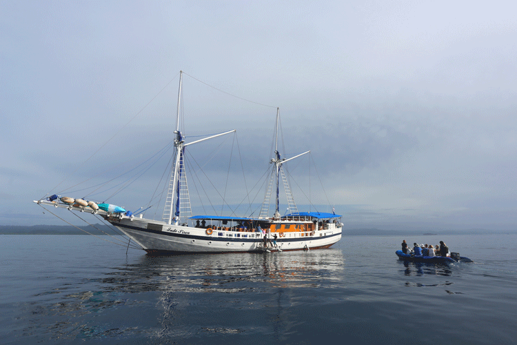 Indonesia liveaboard image showing the Indo Siren vessel in Raja Ampat