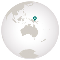 Papua New Guinea tours globe graphic