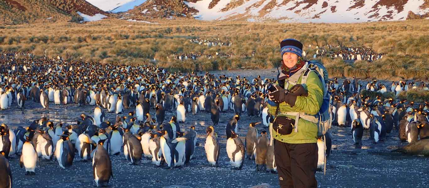 South Georgia cruise photo showing King Penguins and Apex expedition leader Ingrid Nixon