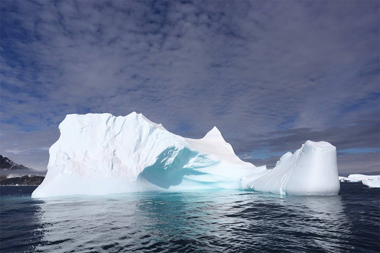 Antarctica iceberg on Antarctic Peninsula