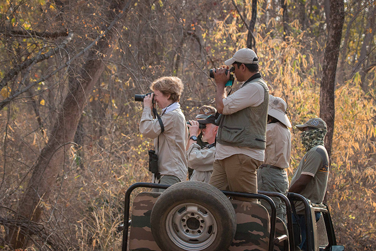 India wildlife safari game viewing at Kanha National Park