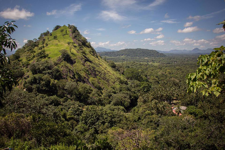 Landscape on Sri Lanka wildlife tour