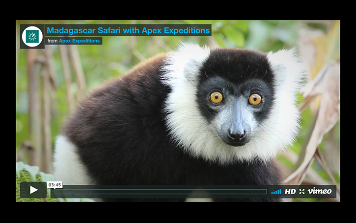 Madagascar wildlife safari video with play button