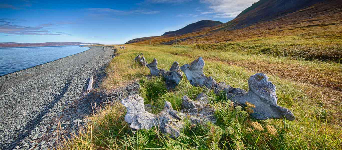 Russian Arctic cruise photo of Whale Bone Alley on Yttygran Island