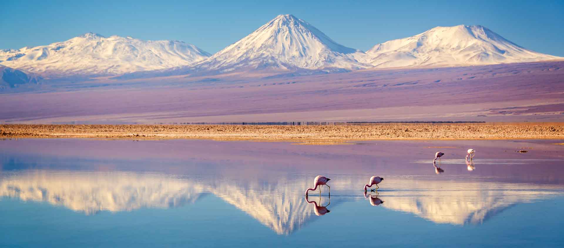 Costa Rica to Chile photo showing flamingoes and Atacama salt flat
