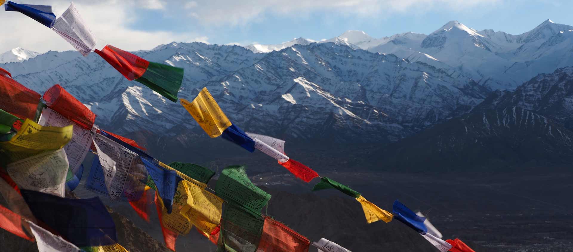 Tigers and Snow Leopards of India photo of prayer flags