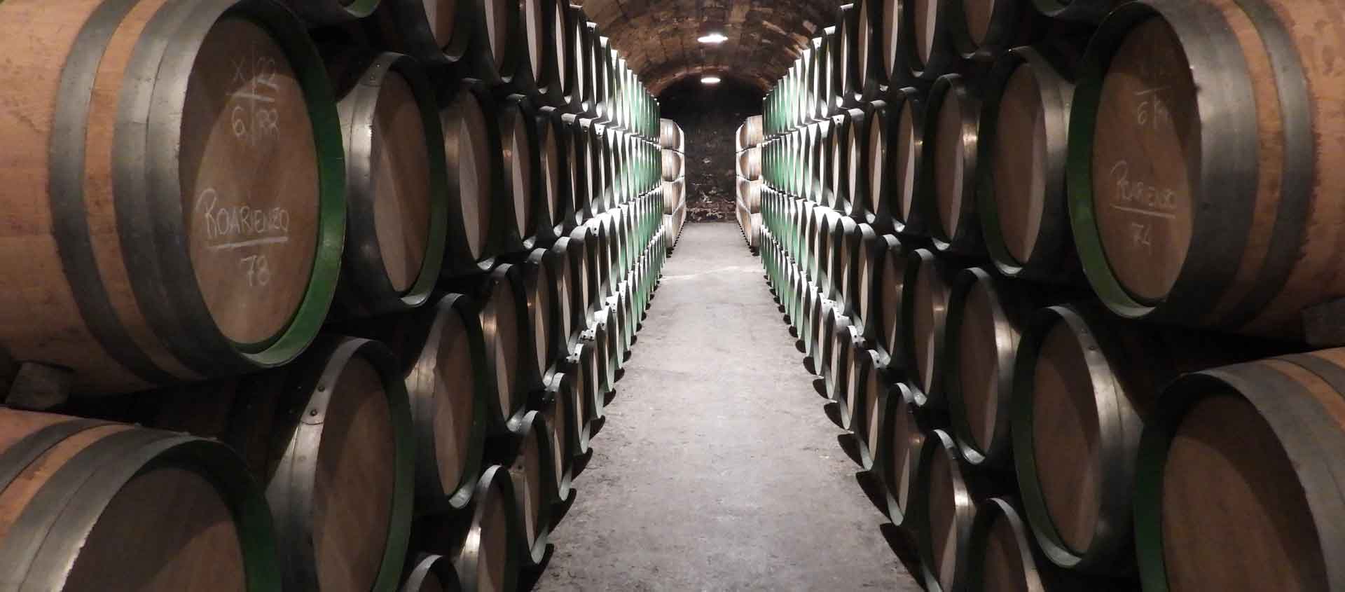 Spain wildlife & culinary tours image of wine cellar